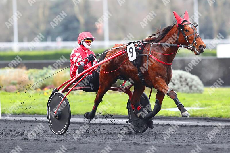 APRH : Report 'Vincennes 21/01/2024 3ème_Course PRIX D'ESPALION'
