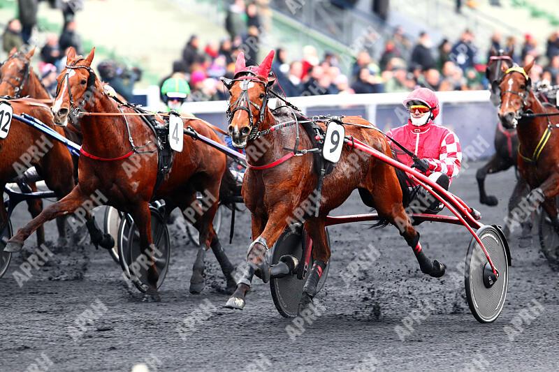 APRH : Report 'Vincennes 21/01/2024 3ème_Course PRIX D'ESPALION'